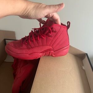 BRAND NEW Air Jordan 12 Retro